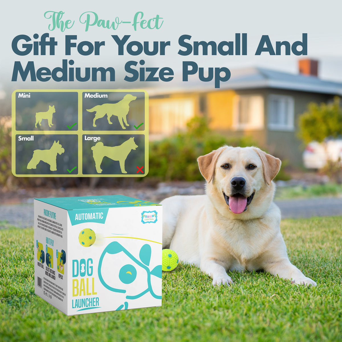 Automatic Dog Ball Launcher - Interactive Fetch Machine for Small to Medium Dogs with 6 Latex Balls and Dual Power Supply