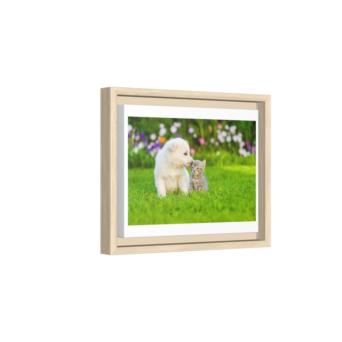 Framed Matte Canvas Print — Puppy & Kitten in a Sunny Garden