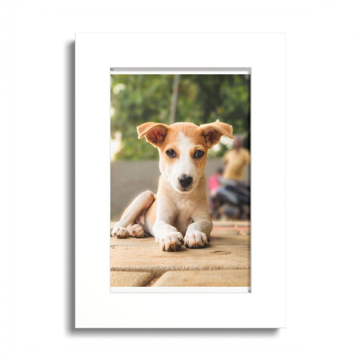 Colored Frame Poster – Photo Mat Print (Custom Dog Portrait, Red or White Frame)